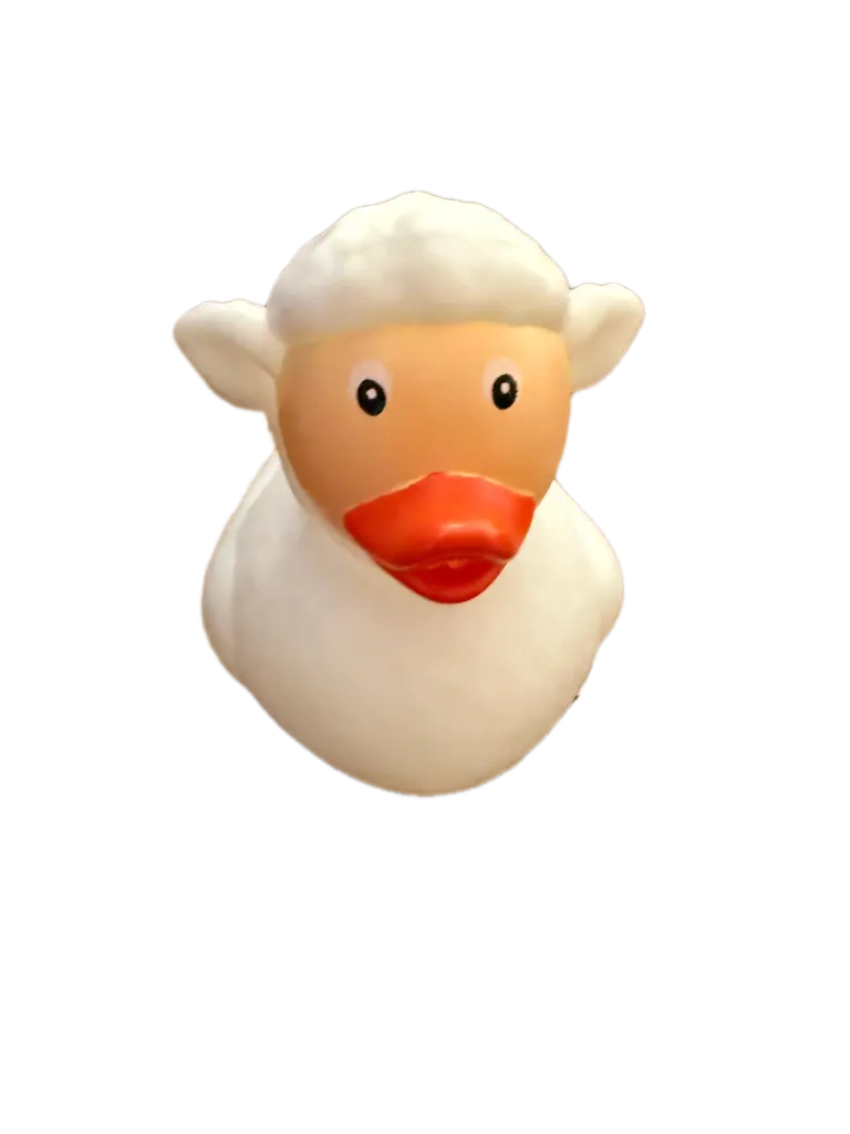 Sheep Duck - بطة