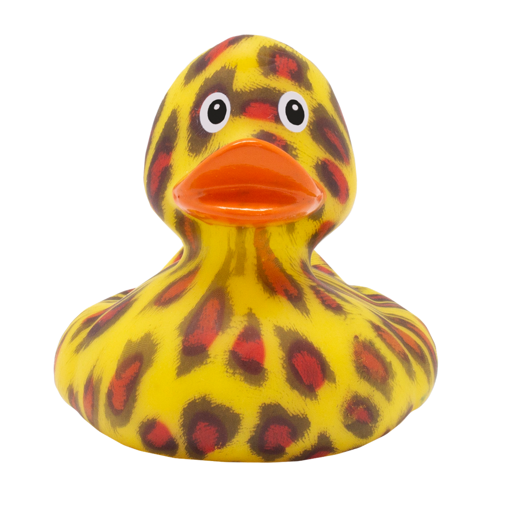 "Like a Wild Cat" Duck - بطة