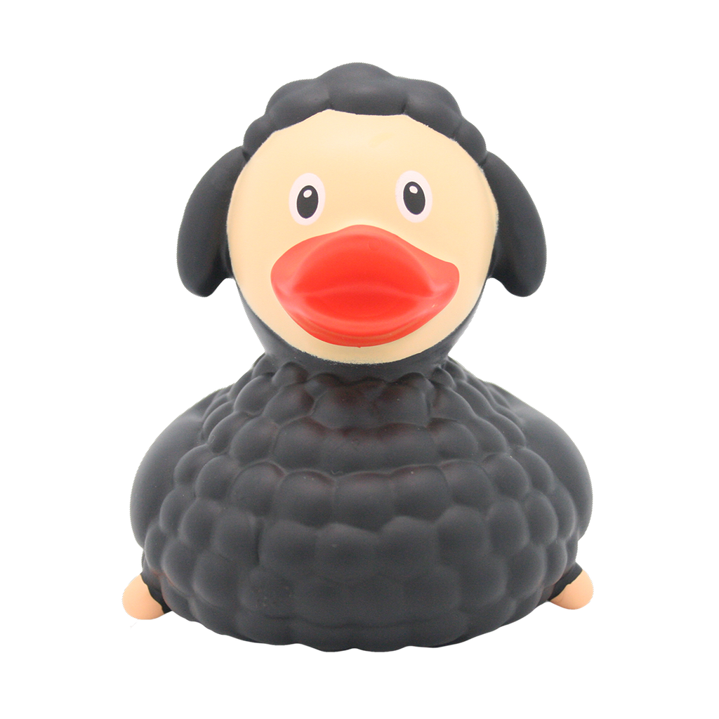 Black Sheep Duck - بطة
