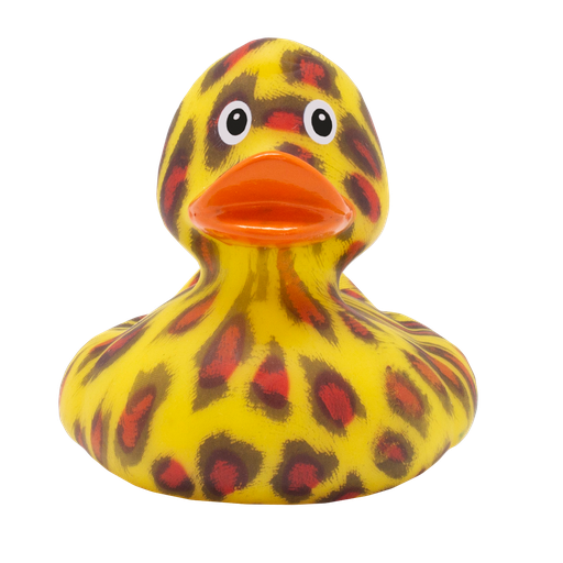 "Like a Wild Cat" Duck - بطة