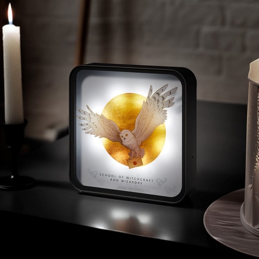 Harry Potter Hedwig Desk/Wall Lamp - لمبة