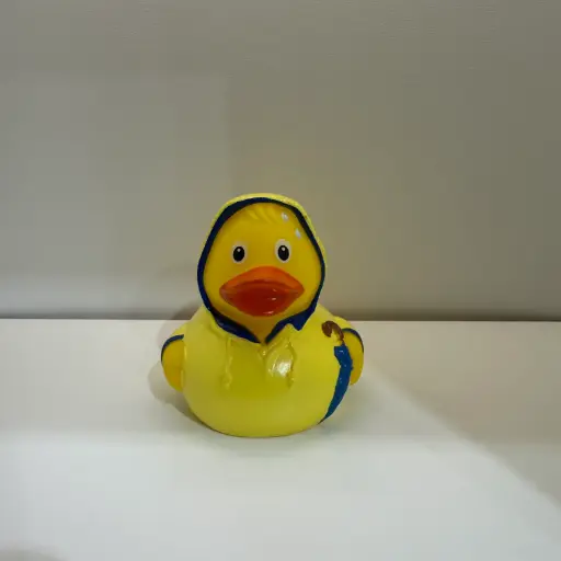 Raincoat Duck - بطة