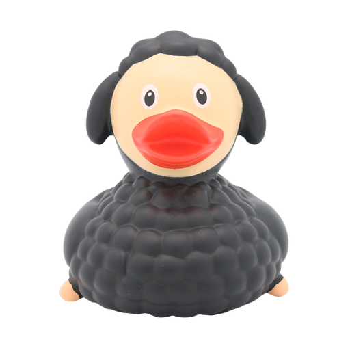 Black Sheep Duck - بطة