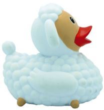 Sheep Duck - بطة