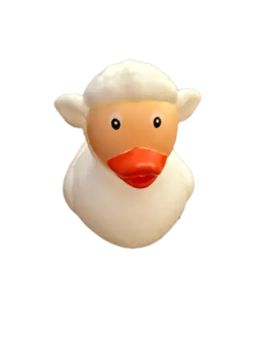 Sheep Duck - بطة