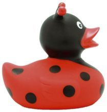 Ladybug Duck - بطة